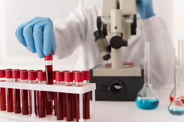 Lab